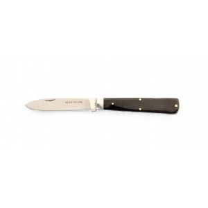 https://www.bazari.fr/10102-thickbox/couteau-de-poche-pradel-modele-inox-manche-corne-10-cm.jpg