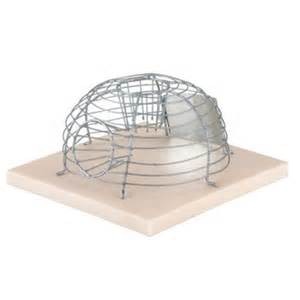 https://www.bazari.fr/3373-thickbox/nasse-a-souris-coupole-1-entree.jpg