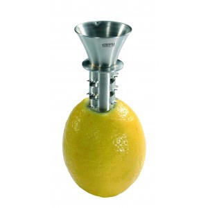 https://www.bazari.fr/4155-thickbox/visse-a-citron-inox-.jpg