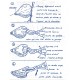 pince a huitre multi-fonctions 