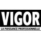 vigor 